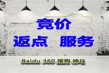 SEM运营公司案例研究：优化广告投放策略